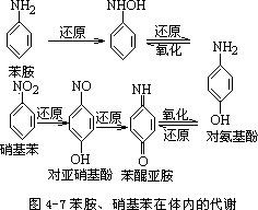 四、苯的氨基和硝基化合物 - 图1