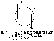 22 × 10−16 - 图8