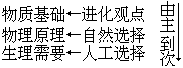 提要式板书 - 图1