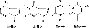 三、核酸化学的兴起 - 图1