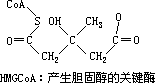 动脉粥样硬化 - 图1