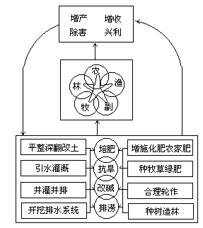 （一）在改变生产条件、克服自然灾害方面需按排涝——改良盐碱 - 图1