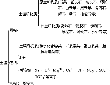 土壤的组成和性质 - 图1