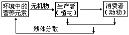 板书 - 图3