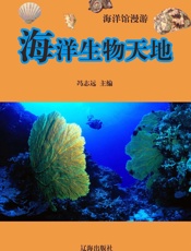 海洋馆漫游——海洋生物天地