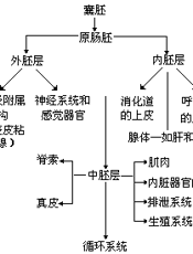 普九义务教材通用教案设计精编 中学卷：中学生物通用教案设计精编