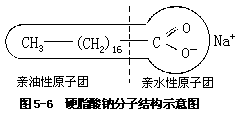 三、肥皂和洗涤剂 - 图1