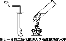 一、二氧化碳的性质 - 图3