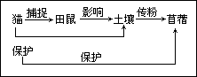 四、细读课文第二段，弄清猫与苜蓿之间的关系 - 图1