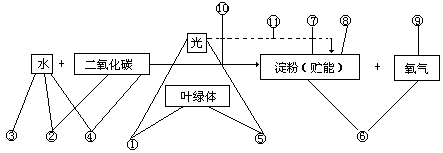 四、指导学生掌握、运用具体的识记方法 - 图2