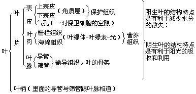 一、直观教学的重要意义 - 图3