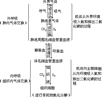 四、指导学生掌握、运用具体的识记方法 - 图1