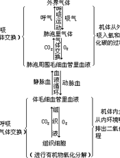 中学生物学教学法