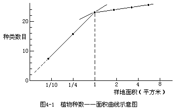 一、样地的设置和群落最小面积 - 图1