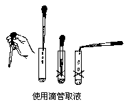 四、化学实验 - 图2