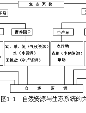 全球资源态势与对策