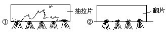 电教手段在古诗教学学中的应用 - 图1