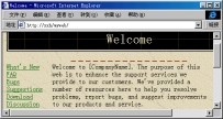 第 12 章 FrontPage Explorer - 图743