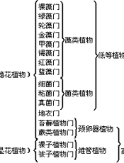 植物学(第二版)下册