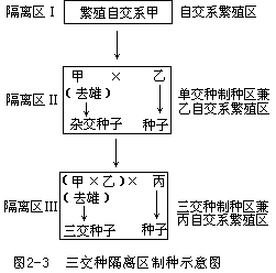 五、玉米杂交制种技术 - 图2