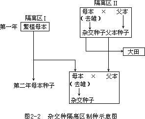 五、玉米杂交制种技术 - 图1