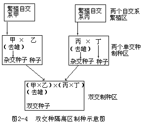 五、玉米杂交制种技术 - 图3