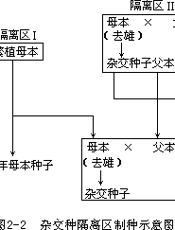 植物栽培