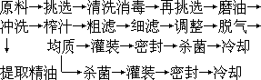 原果汁饮料 - 图1