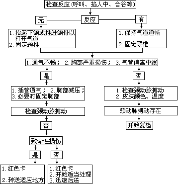 二、现场急救的实施程序 - 图1