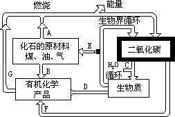 二氧化碳、碳酸、碳酸盐 - 图2