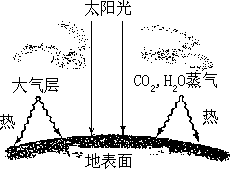 二氧化碳、碳酸、碳酸盐 - 图1