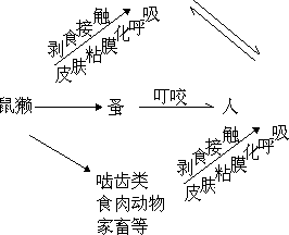 （四）鼠疫流行病学监督 - 图1