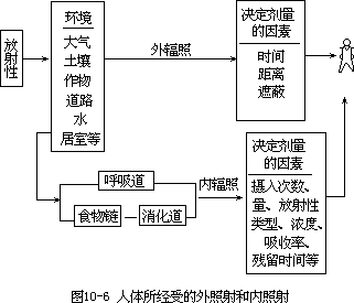 放射性核素在环境和人体中的分布 - 图1