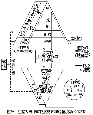 太阳能在地球上的流动 - 图1