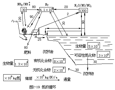 氮的循环 - 图4