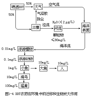 污染物的环境行为及其危害 - 图6