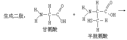 生物体中的含碳有机化合物 - 图5