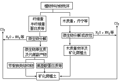 腐植质形成的螯合物 - 图1