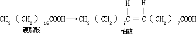 有机物生物降解反应及其机理 - 图14