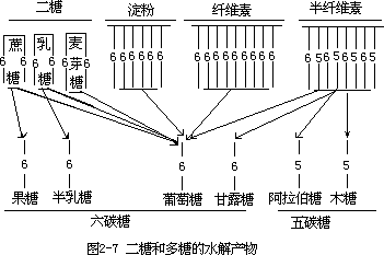 生物体中的含碳有机化合物 - 图2