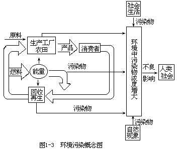 环境污染和环境污染物 - 图1