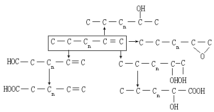 有机物生物降解反应及其机理 - 图21