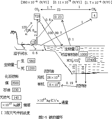 碳的循环 - 图1