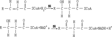 有机物生物降解反应及其机理 - 图18