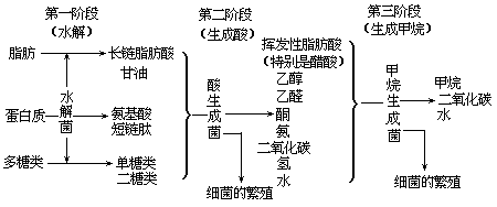 呼吸作用 - 图7