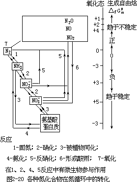 氮的循环 - 图5