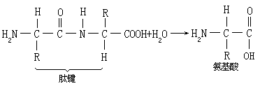 有机物生物降解反应及其机理 - 图10