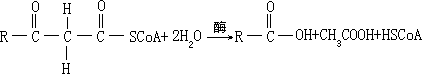 有机物生物降解反应及其机理 - 图19