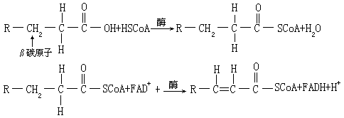 有机物生物降解反应及其机理 - 图17