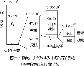 氮的循环 - 图3